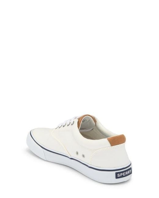 Sperry Top-Sider White Striper Ii Cvo Sneaker for men