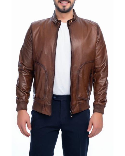 VELLAPAIS Brown Larue Leather Jacket for men