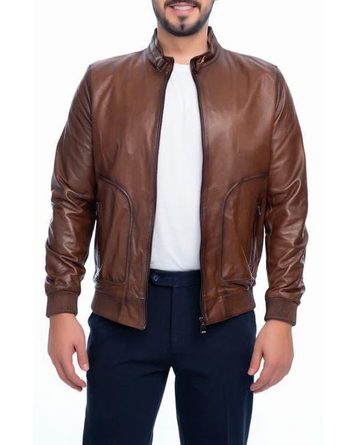 VELLAPAIS Brown Larue Leather Jacket for men