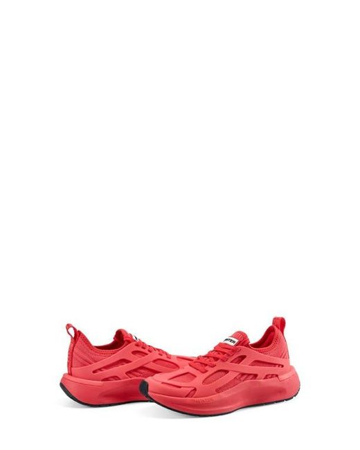 Hunter Red Tulip Sneaker