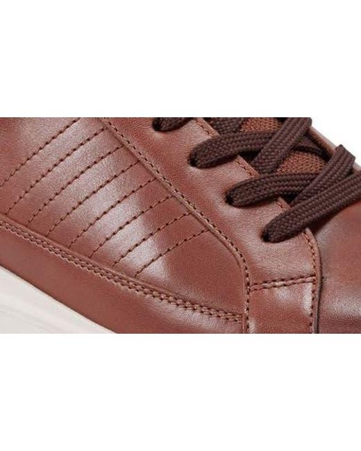 Rockport Brown Trenner Leather Sneaker for men