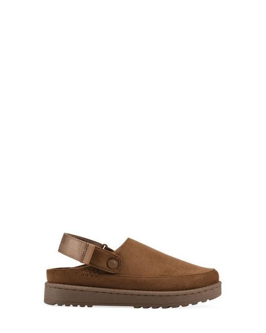 White Mountain Brown Icebound Slingback Clog