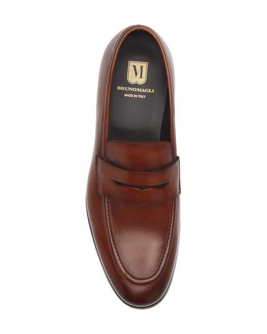 Bruno Magli Brown Nolan Penny Loafer for men