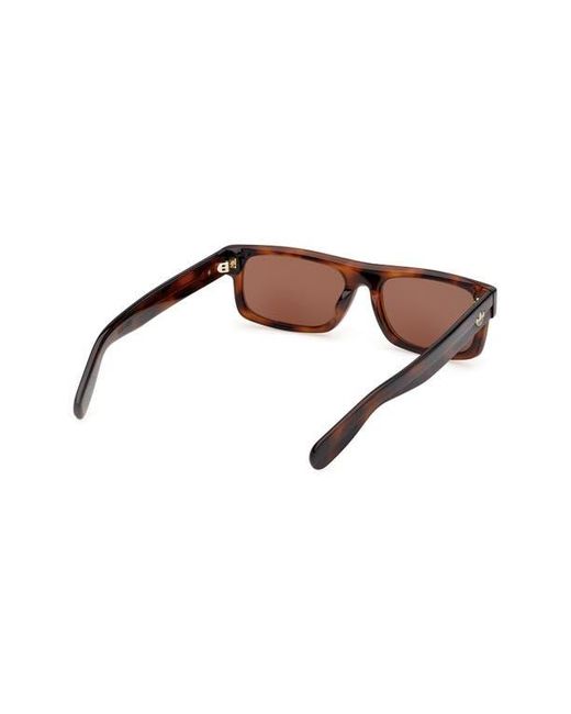 Adidas Brown Rectangular Sunglasses for men