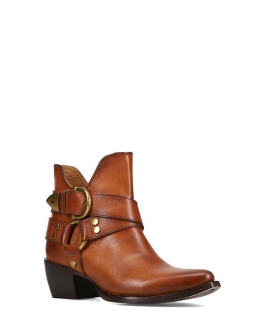 Frye Brown Sacha Harness Bootie