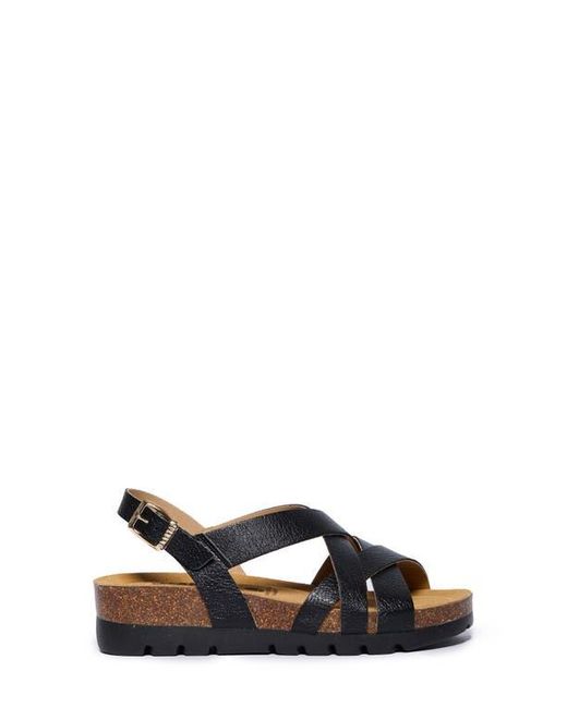 Plakton Multicolor Compass Sandal