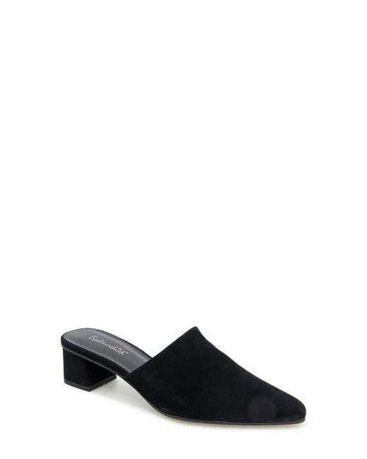 Splendid Black Laylai Pointed Toe Mule