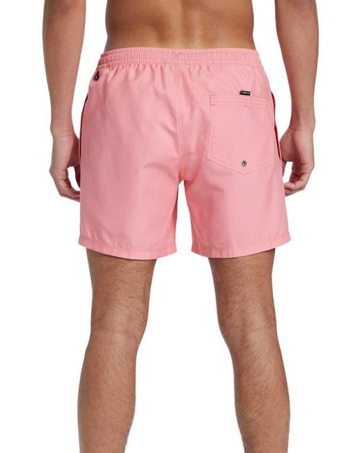 Quiksilver Pink Everyday Volley Swim Trunks for men