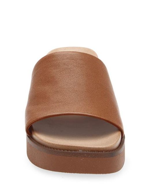 Steve Madden Brown Robyn Platform Slide Sandal