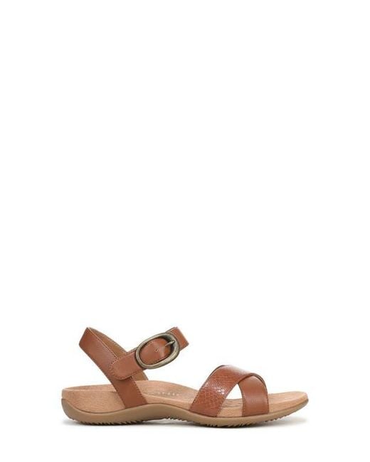 Vionic Brown Ramsey Sandal