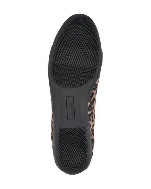 White Mountain Black Calming Buckle Strap Flat