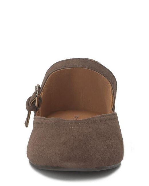 Lucky Brand Brown Albajane Flat