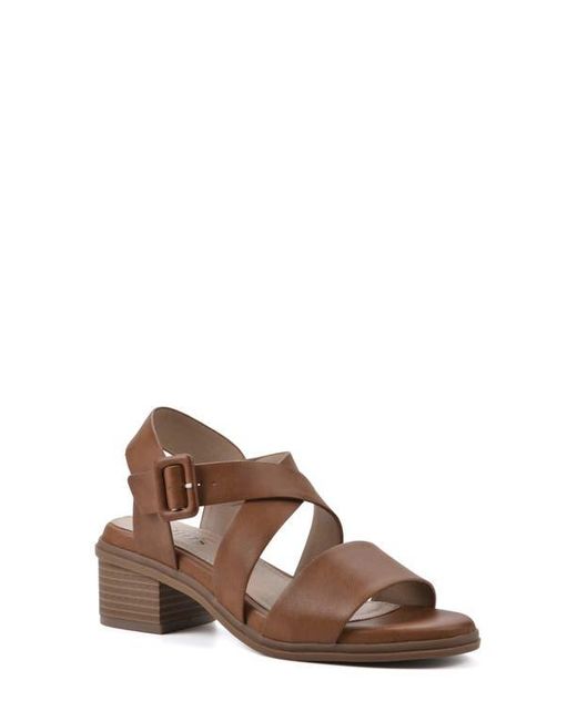 White Mountain Brown Cordovan Heeled Sandal