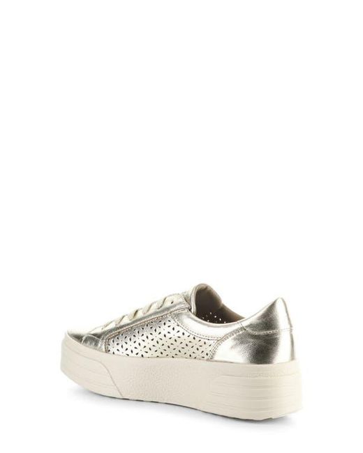 Bos. & Co. White Lotta Platform Sneaker