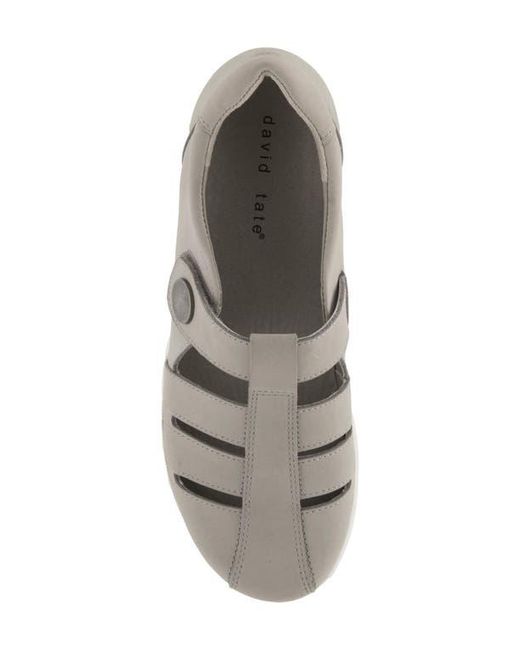 David Tate Gray Optic Flat