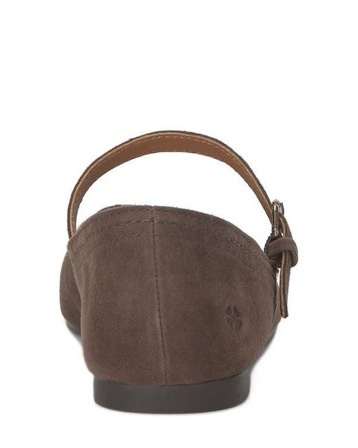 Lucky Brand Brown Albajane Flat