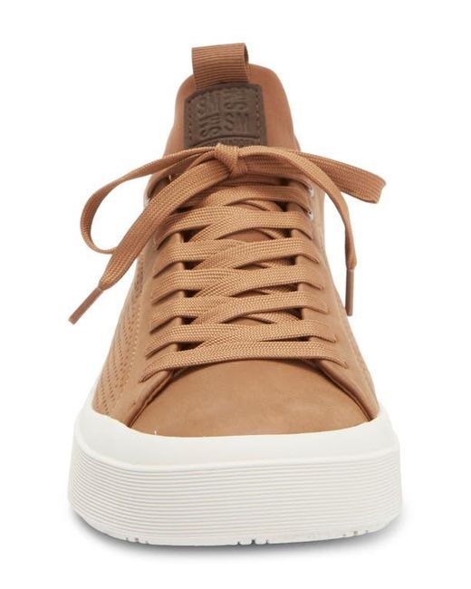 Steve Madden Brown Pyper Sneaker for men