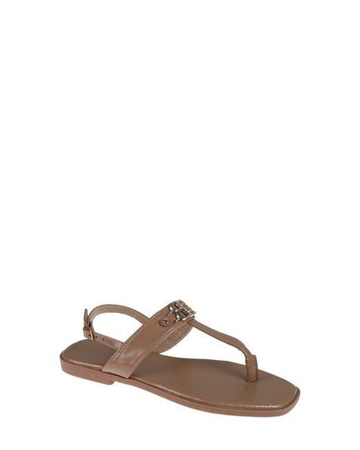 Bebe Brown Logo Toe Post Sandal