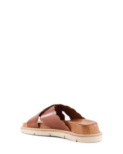 Seychelles Brown Woodstock Platform Wedge Sandal