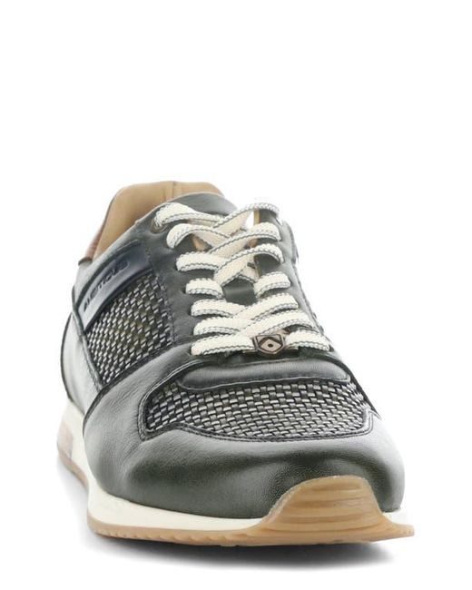 Ambitious Multicolor 11240 Perforated Sneaker for men