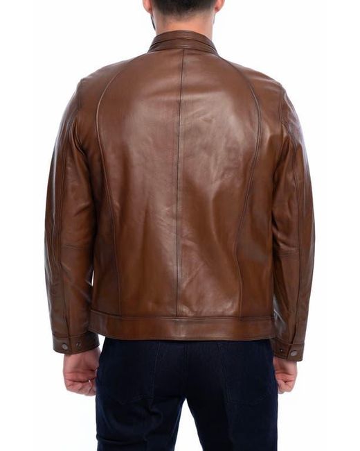 VELLAPAIS Brown Smooth Leather Jacket for men