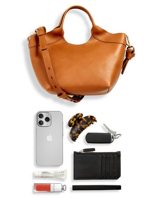 Madewell Brown The Mini Sydney Cutout Leather Tote