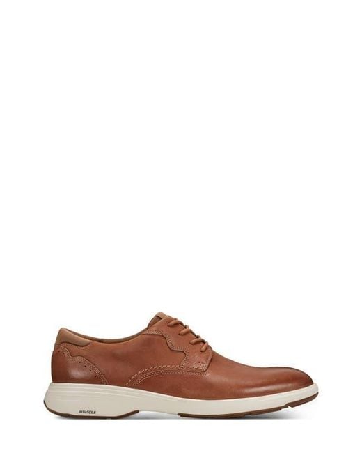 Rockport Brown Noah Plain Toe Derby for men