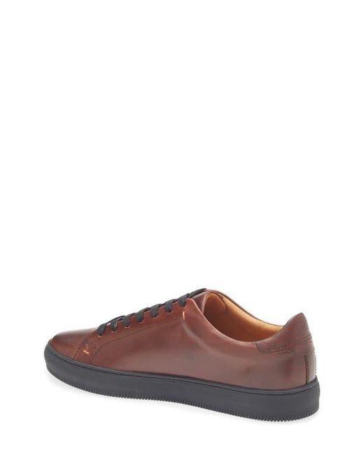 Frye Brown Astor Sneaker for men