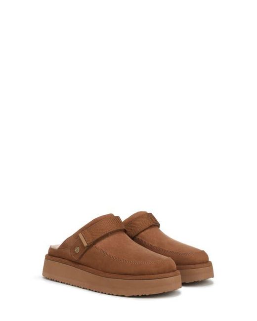 Dr. Scholls Brown Chill Time Clog