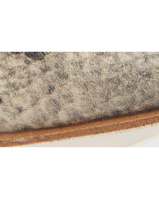 Comfortiva Multicolor Ryen Snakeskin Embossed Leather Loafer