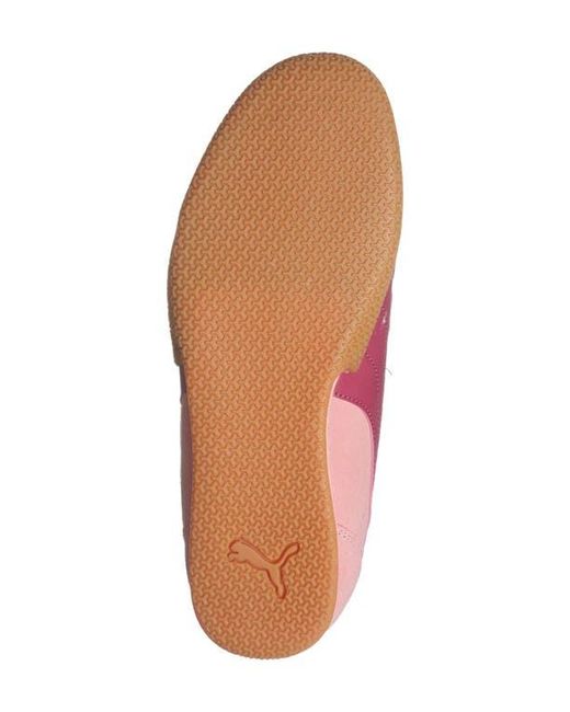 PUMA Pink Bella Donna Sneaker