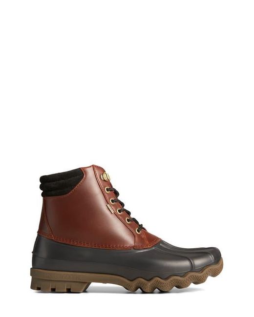 sperry men's avenue duck boot