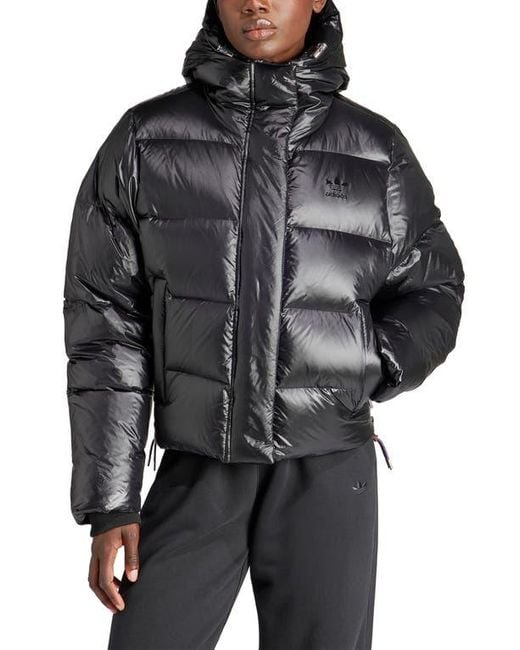 adidas Premium Crop Puffer Jacket in Black Lyst