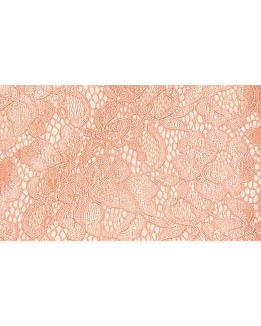 Alexia Admor Pink Rowan Lace Jacket