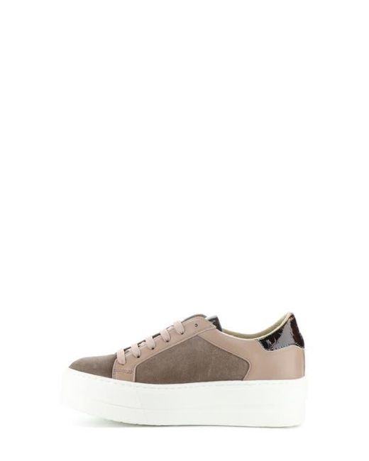 Bos. & Co. Multicolor Maude Platform Sneaker