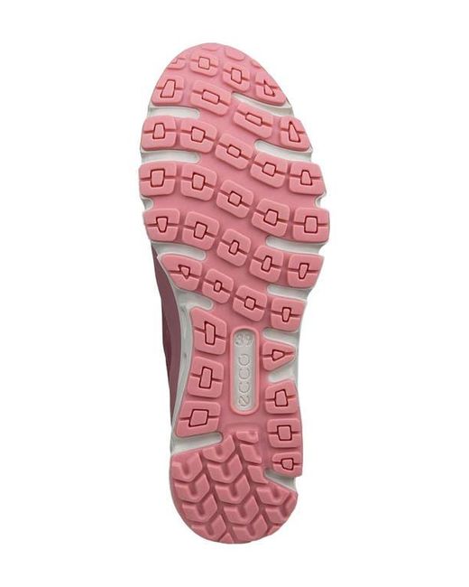 Ecco Purple Multi Vent Sneaker