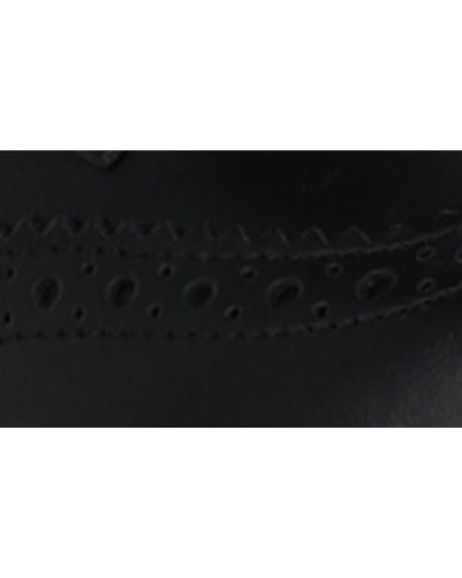 McQueen Black Liquid Brogue Derby