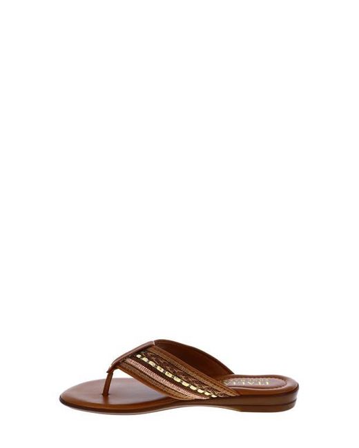 Italian Shoemakers Brown Zali Slide Sandal