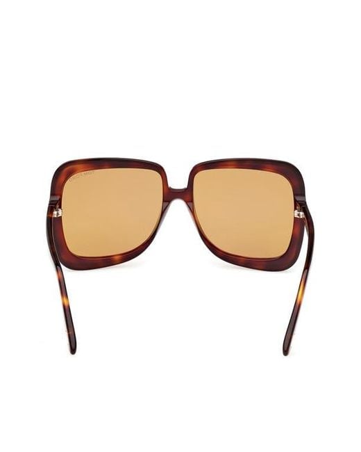 Tom Ford Natural Lorelai 59Mm Square Sunglasses
