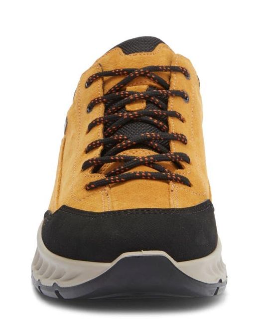 Ara Multicolor Petro Waterproof Sneaker for men