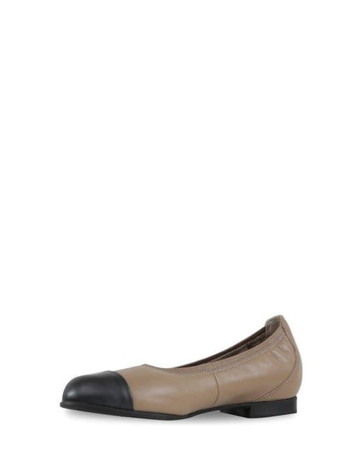 Munro Multicolor Mila Ballet Flat