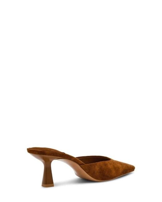 Steve Madden Brown Alyse Mule