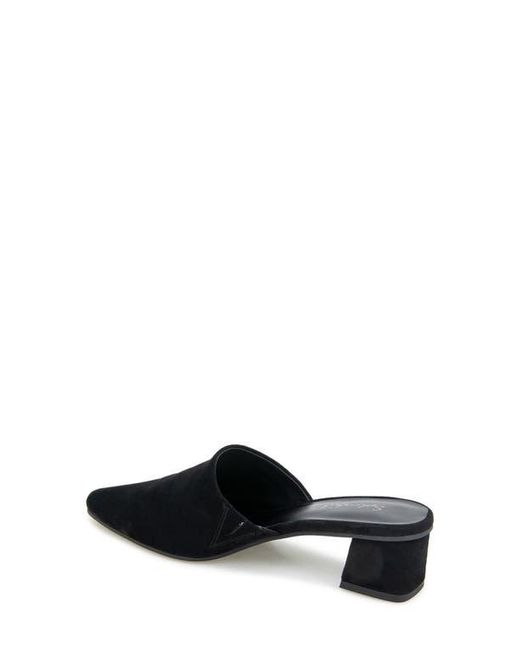 Splendid Black Laylai Pointed Toe Mule