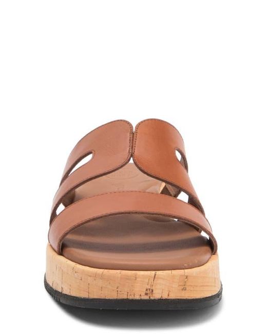 Paul Green Brown Rae Slide Sandal