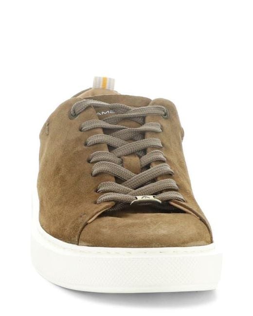 Ambitious Brown 13797 Low Top Sneaker for men