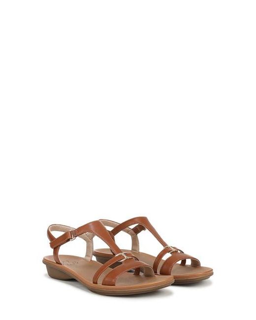 Naturalizer Brown Sofia Sandal