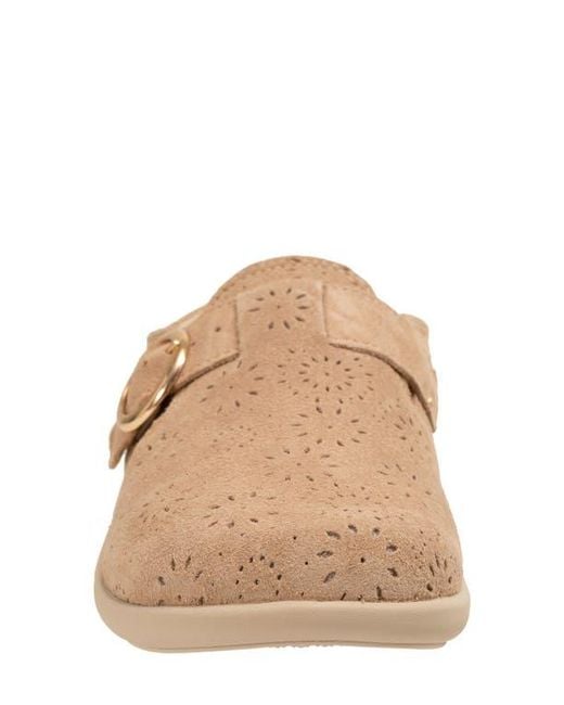Revitalign Natural Siesta Eclipse Clog