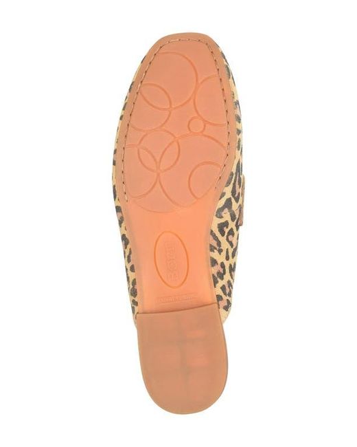 Børn Multicolor Ashlin Mule