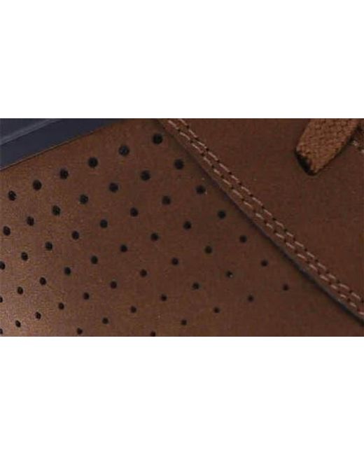 Dockers Brown Fowler Sneaker for men