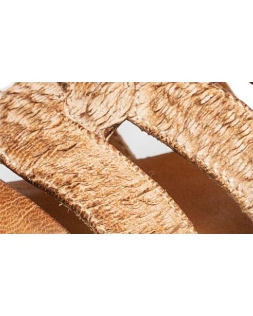 Antelope Brown Adalyn Slide Sandal